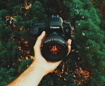 cen tech digital multimeter instruction manual